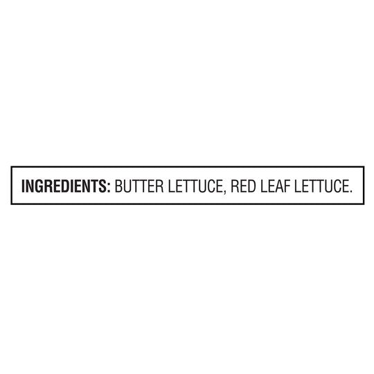 Marketside Butter Lettuce Salad Blend, 6 oz Bag, Fresh