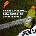 Gatorade Cool Blue Thirst Quencher Sports Drink, 12 oz, 12 Pack Bottles