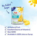 Dole Pineapple Chunks in 100% Pineapple Juice, 20 oz Can