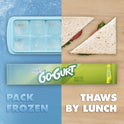 Go-GURT Kids Fat Free Yogurt Variety Pack, 16 Ct, 2 OZ Yogurt Tubes