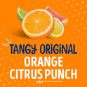 SUNNYD Tangy Original Orange Juice Drink, 40 FL OZ Bottle