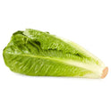 Fresh Romaine Lettuce, Each