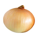 Fresh Whole Sweet Onion, Each