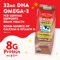 Horizon Organic 1% Lowfat UHT DHA Omega-3 Chocolate Milk, 8 Oz., 6 Count