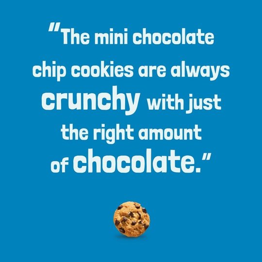 CHIPS AHOY! Mini Chocolate Chip Cookies, 3.5 oz