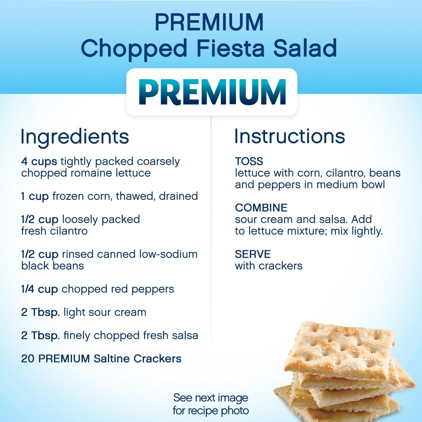 Premium Original Saltine Crackers, 16 oz